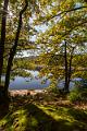 2017_10_14_lac de Chaumecon (0047)